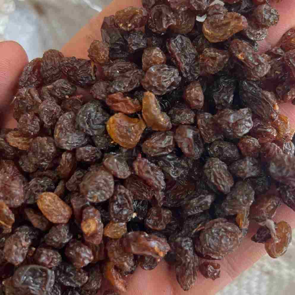 تصویر 2 از کشمش پلویی ارزان خوش طعم و اقتصادی